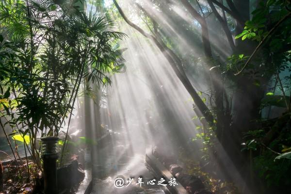 酸奶保质期过了一天还能喝吗游戏画面